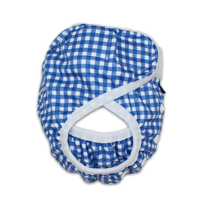 Adjustable Reusable Swim Diaper and Wet Bag Blue Check