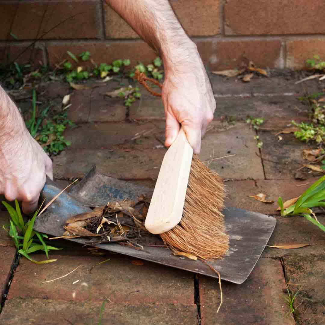 Dust Brush