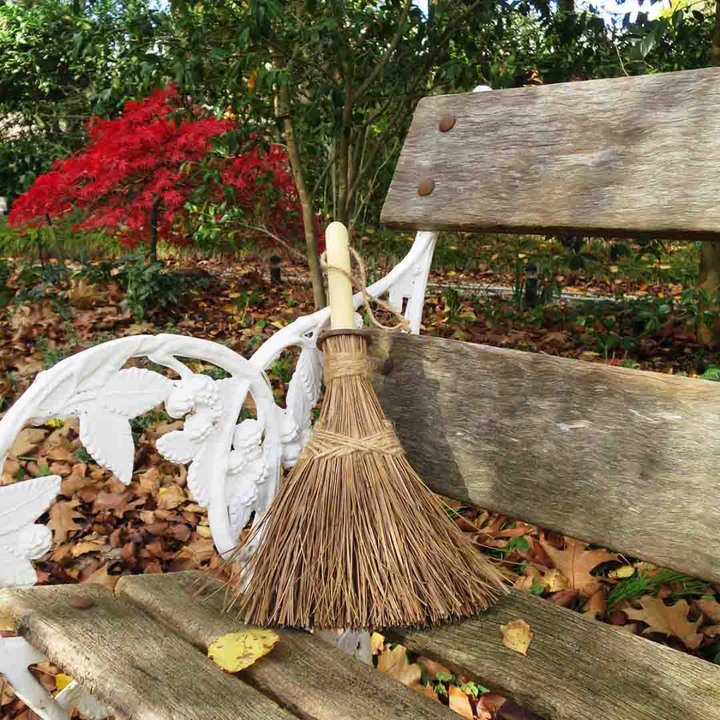 Mini Coconut Palm Broom