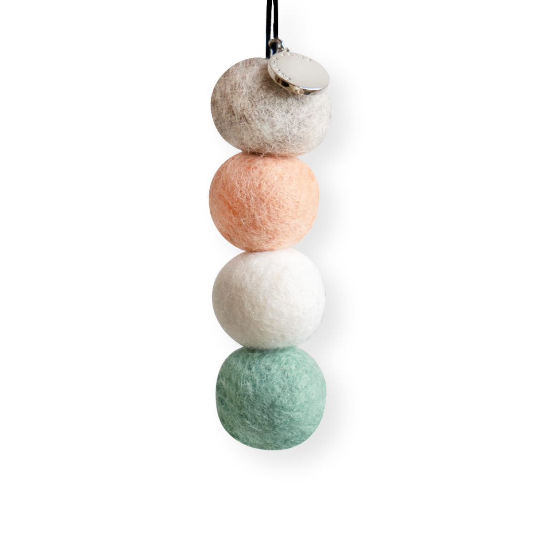 Smelly Balls Reusable Air Freshners - Seapink