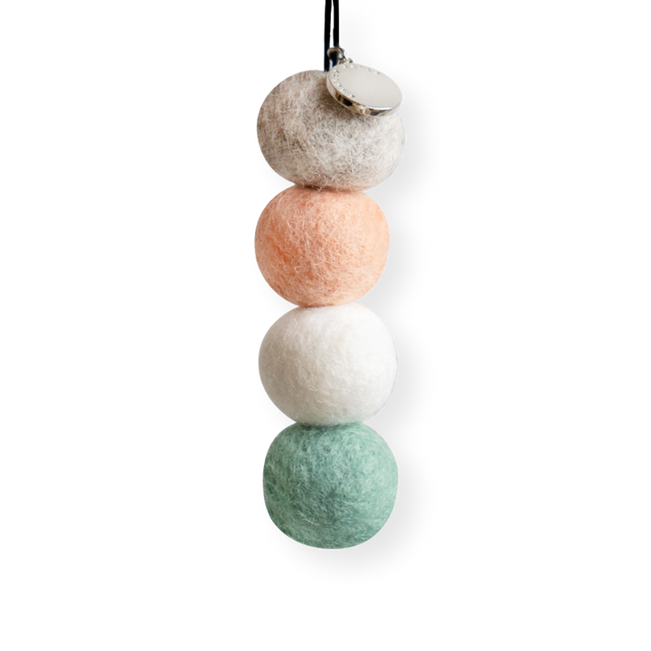 Smelly Balls Reusable Air Freshners - Seapink