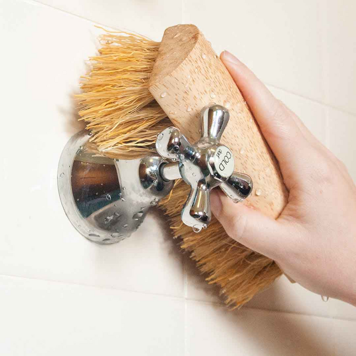 Scrub Brush