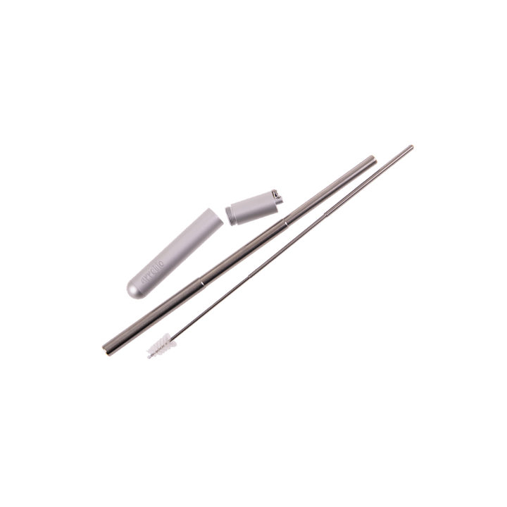 Stainless Steel Telescopic Travel Straw Set