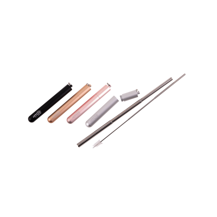 Stainless Steel Telescopic Travel Straw Set