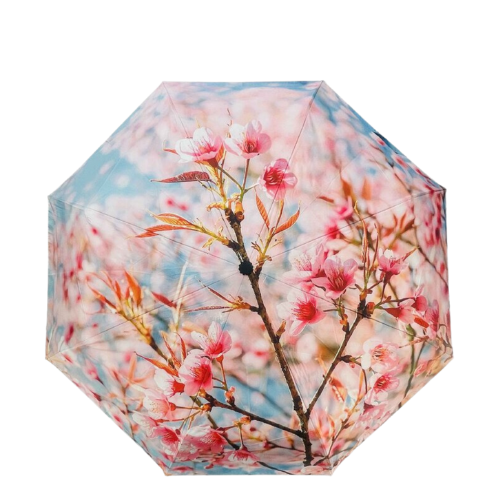 Sun Safe Compact Umbrella - Blossom Sky