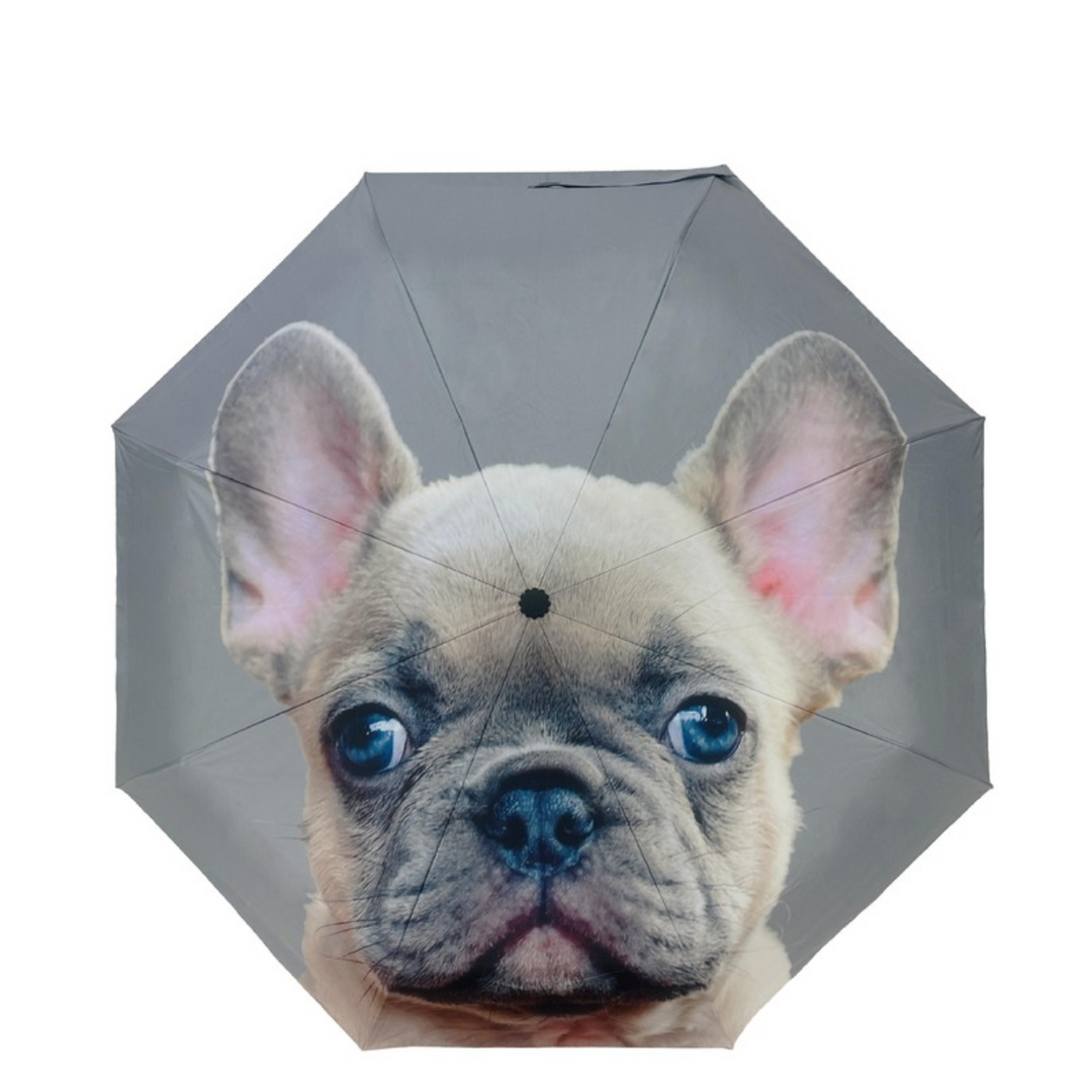 Sun Safe Compact Umbrella - Frenchie